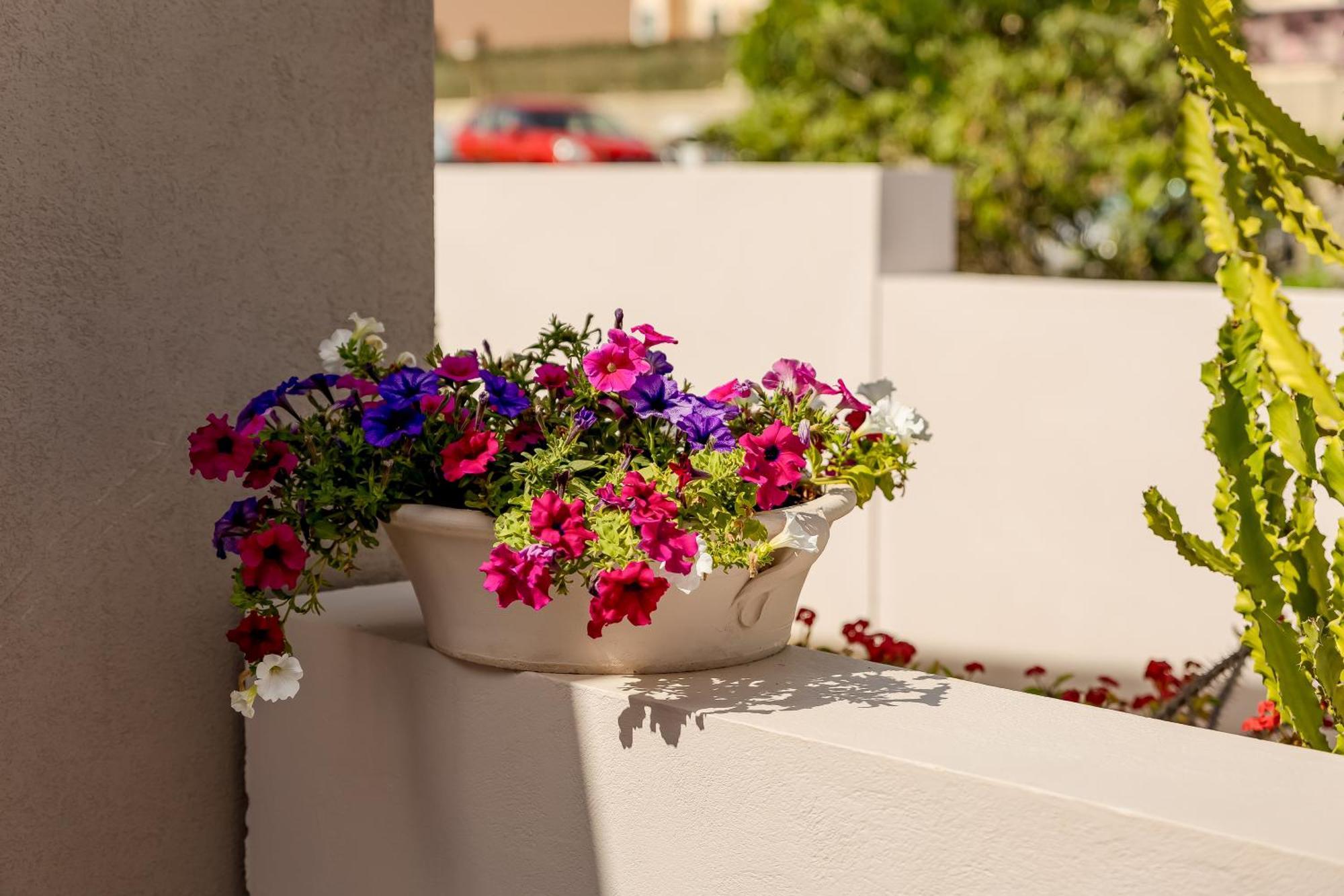 Sarpidon Suites Agia Marina 외부 사진